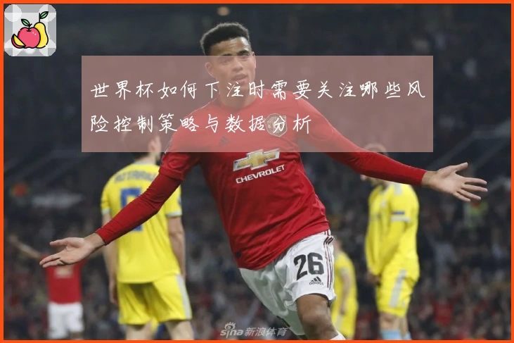 世界杯如何下注时需要关注哪些风险控制策略与数据分析