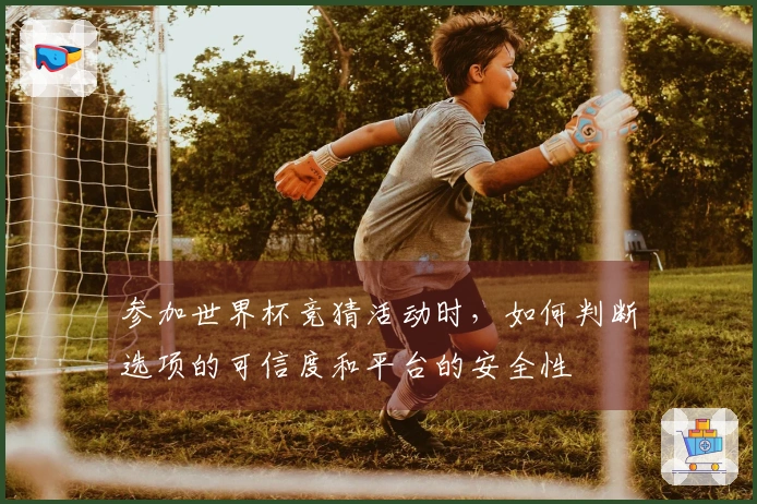 参加世界杯竞猜活动时，如何判断选项的可信度和平台的安全性